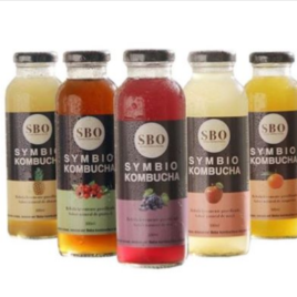 Symbio kombucha -300ml