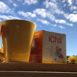 ICHÁ POWER 10 SACHES